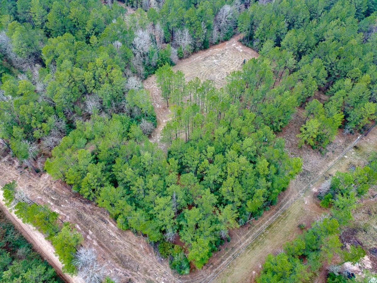 209 Joskey Dykes Road