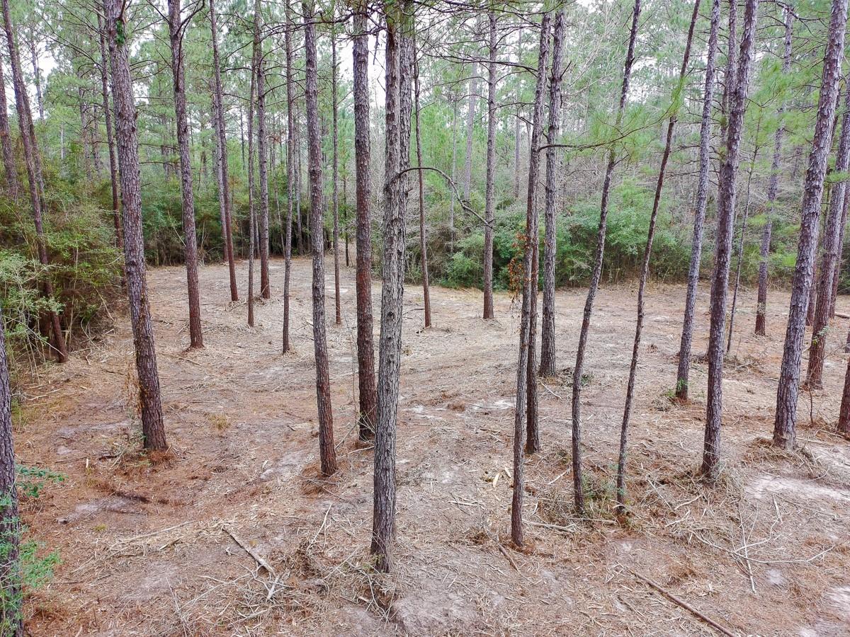 209 Joskey Dykes Road