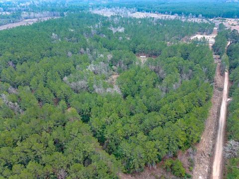 Vacant Land For Sale - 209 Joskey Dykes Road Rd<br/> Zavalla, TX 75980
