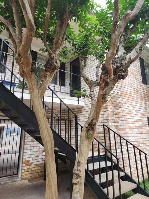 Tiny photo for 7900 Westheimer Road #259, Houston, TX 77063 (MLS # 3050117)