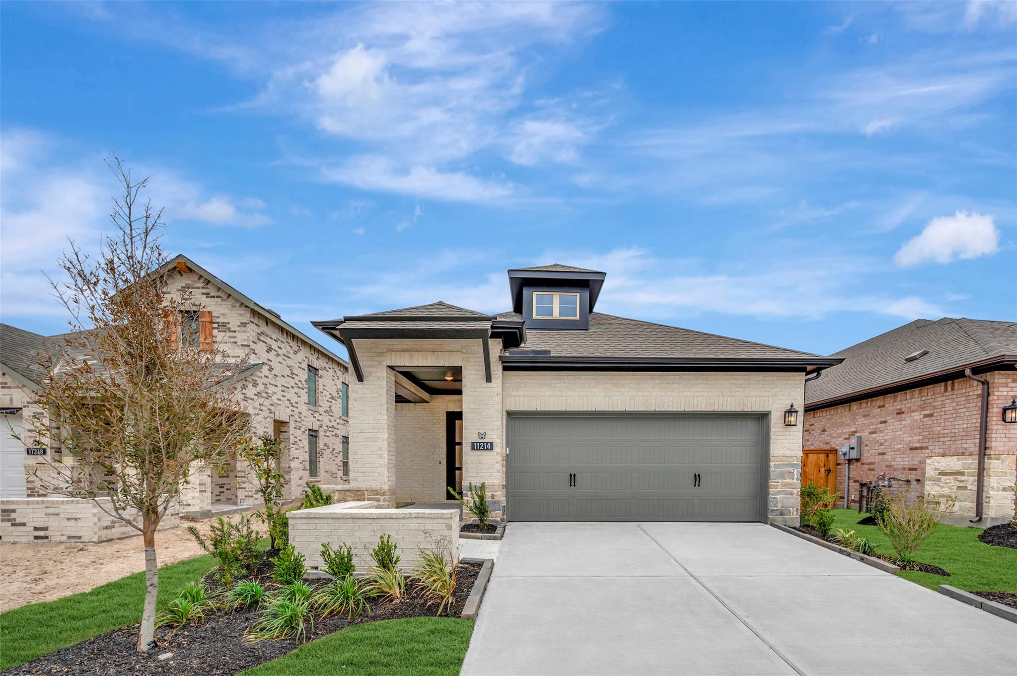 11214 Apricot Sulphur Lane