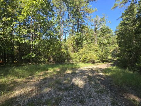 Photo of 178 Deer Run Lane, Brookeland, TX 75931 (MLS # 15579026)