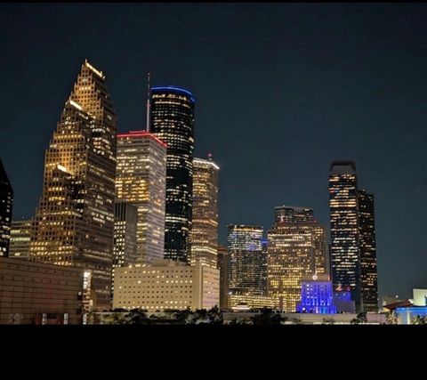 Tiny photo for 2248 Ann Street, Houston, TX 77003 (MLS # 92038327)