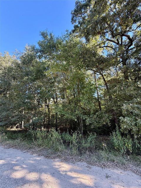 Photo of 87 Tomahawk Trail, Livingston, TX 77351 (MLS # 21147264)