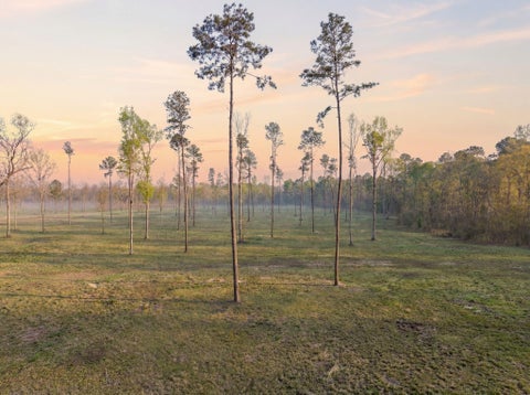 Photo of 5 Johnson Drive, Livingston, TX 77351 (MLS # 47058905)