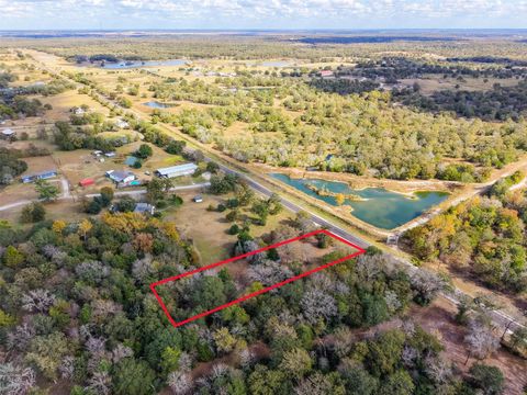 Photo of TBD Fm 1361, Somerville, TX 77879 (MLS # 67425215)