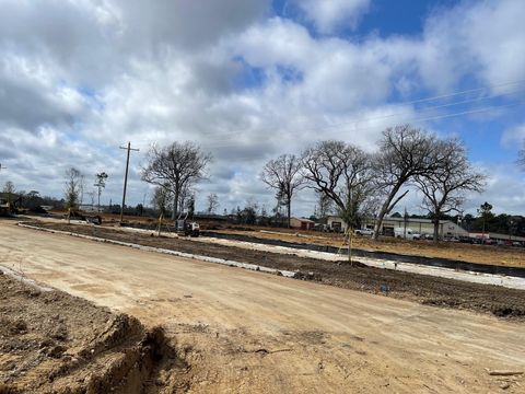 11783 Ruffian Drive Willis TX 77318