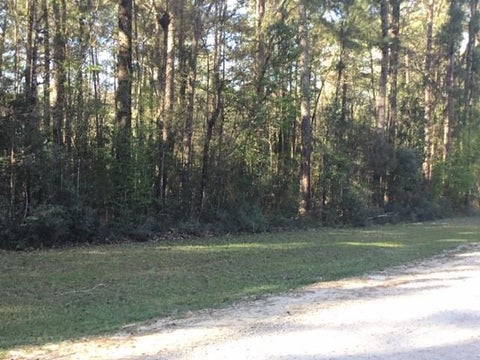 Vacant Land For Sale - 310 Johnson Drive<br/> Polk County, Livingston, TX 77351