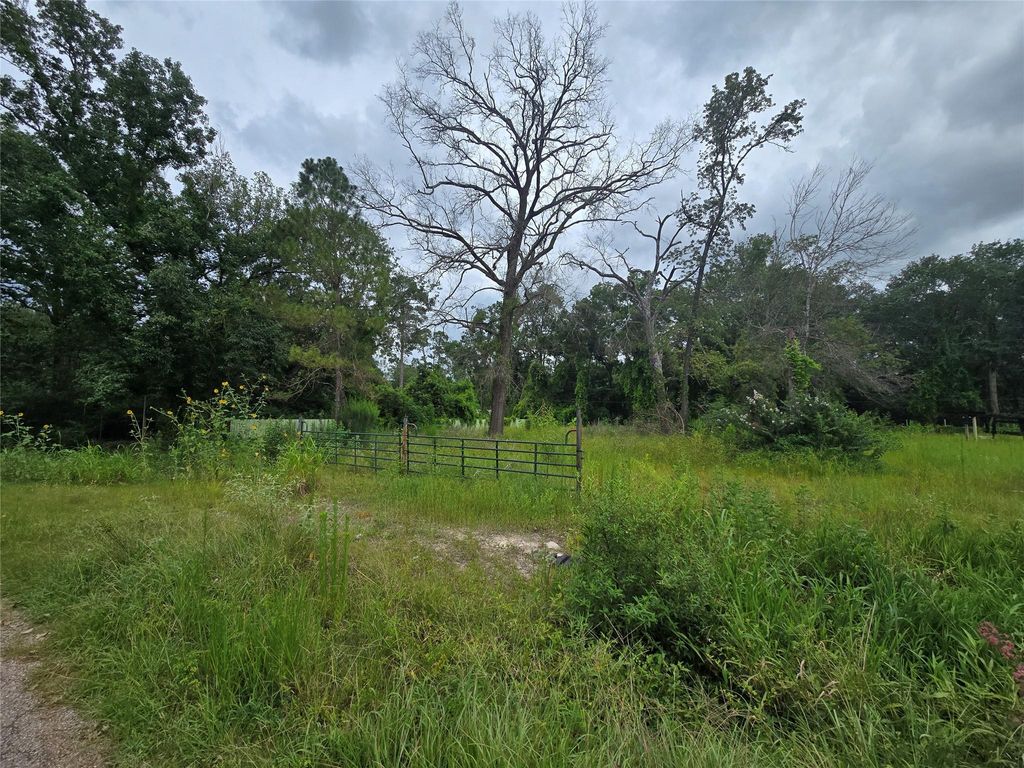 Photo of 0 Olds Drive, Porter, TX 77365 (MLS # 71682849)