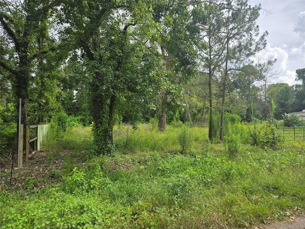 Photo of 0 Olds Drive, Porter, TX 77365 (MLS # 71682849)
