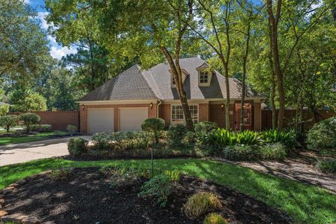 25 Vinebrook Road Spring TX 77380