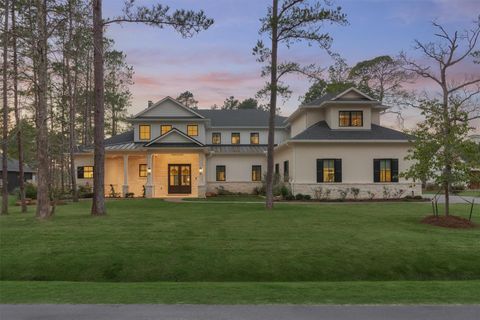 Photo of 4469 Lily Bean Road, Montgomery, TX 77316 (MLS # 77781094)