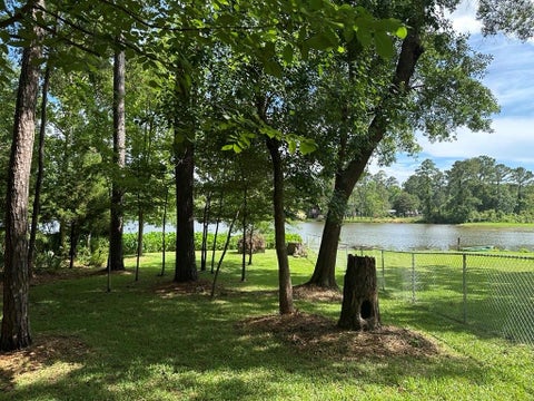 Photo of 512 Navajo Street, Conroe, TX 77316 (MLS # 50510364)