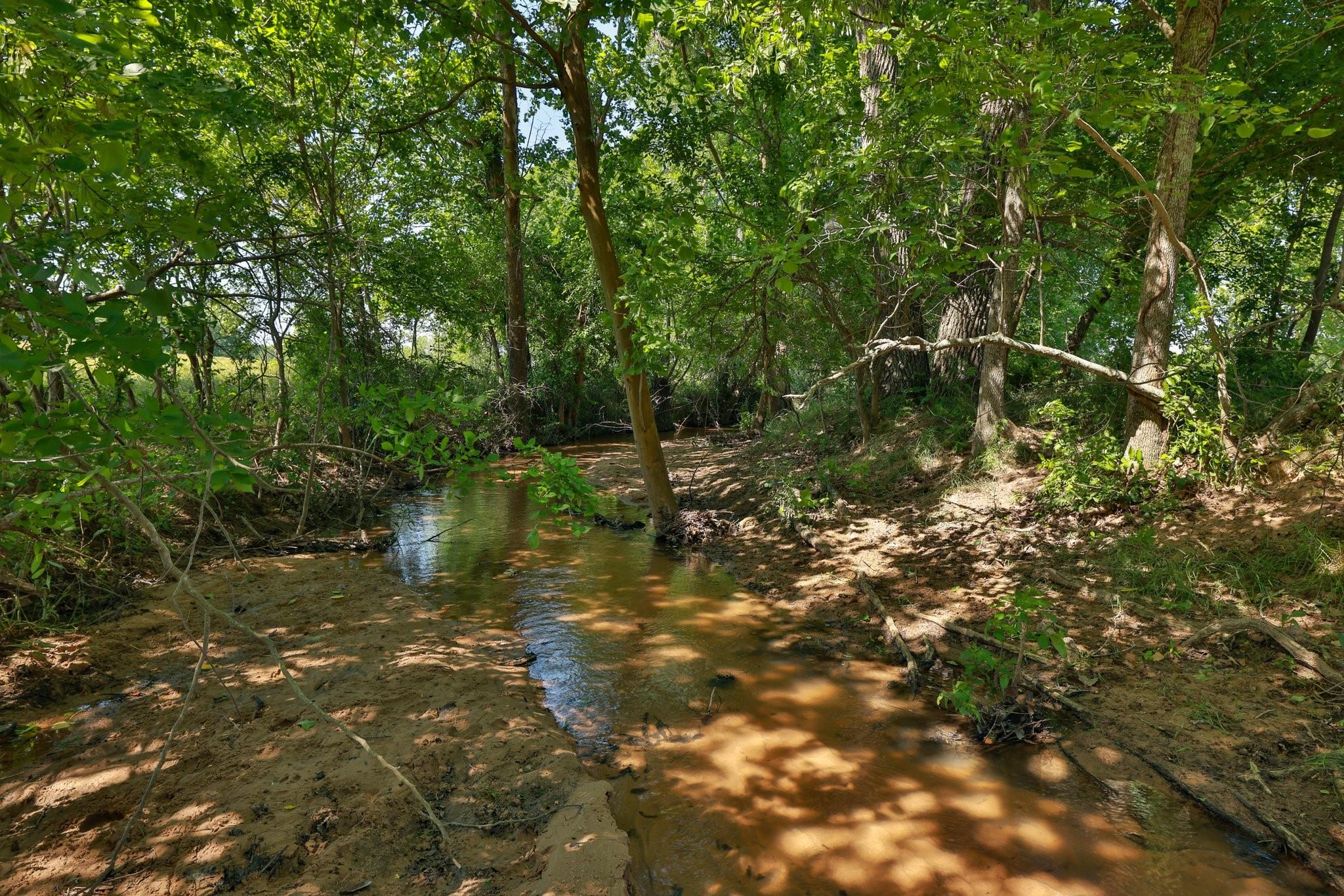 Tract #10 Cr 305 Road