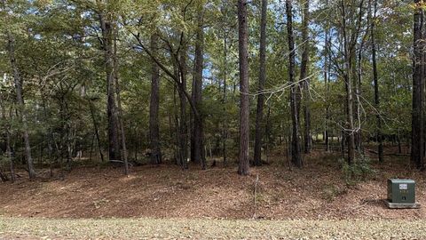 Photo of 103 Green Tree Drive, Coldspring, TX 77331 (MLS # 53754003)