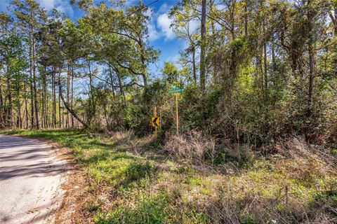 Lot 139 Ravenwood Drive Porter TX 77365