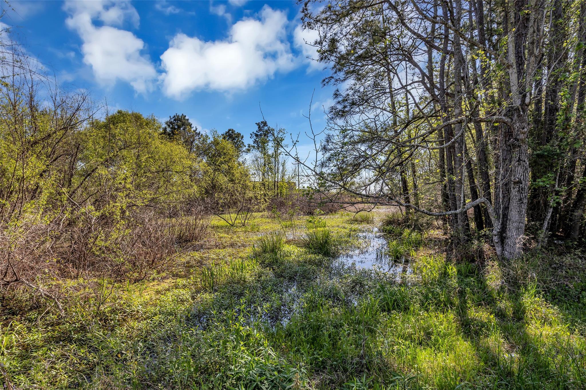 Lot 139 Ravenwood Drive