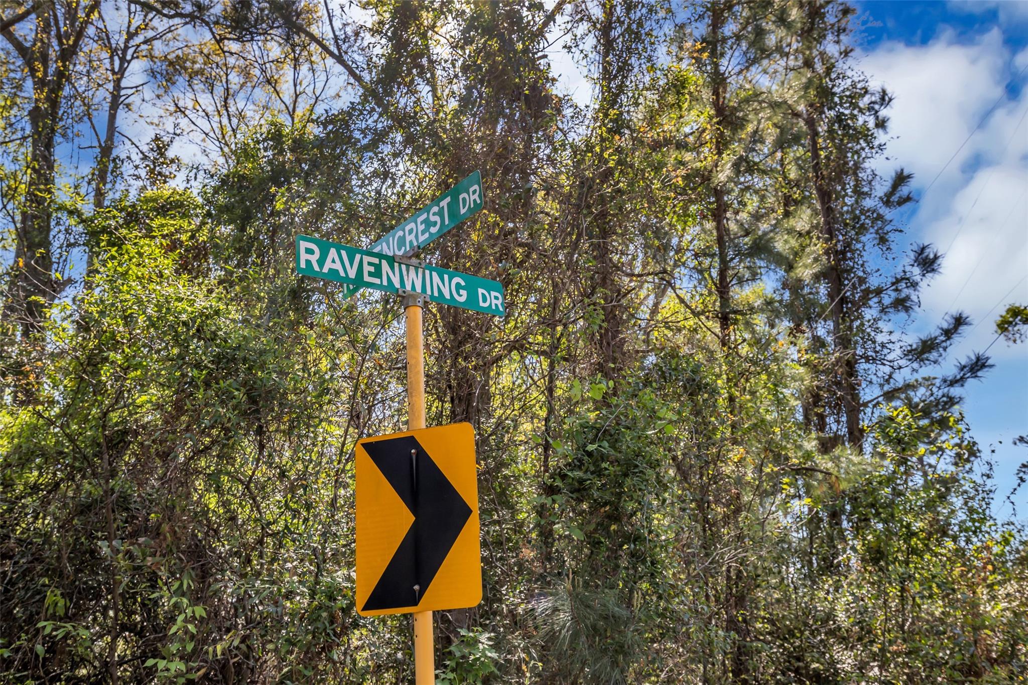 Lot 139 Ravenwood Drive