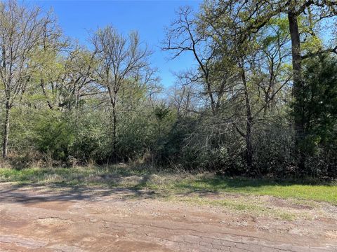Lot 50 County Road 750 Thornton TX 76687
