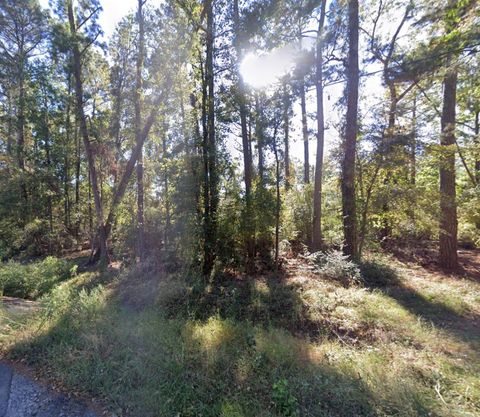 Photo of TBD Parkview Dr Drive, Onalaska, TX 77360 (MLS # 79976913)