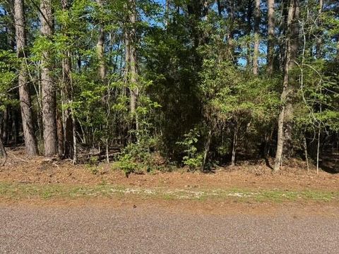 Vacant Land For Sale - 132 S Royale Greens Drive<br/> San Jacinto County, Coldspring, TX 77331