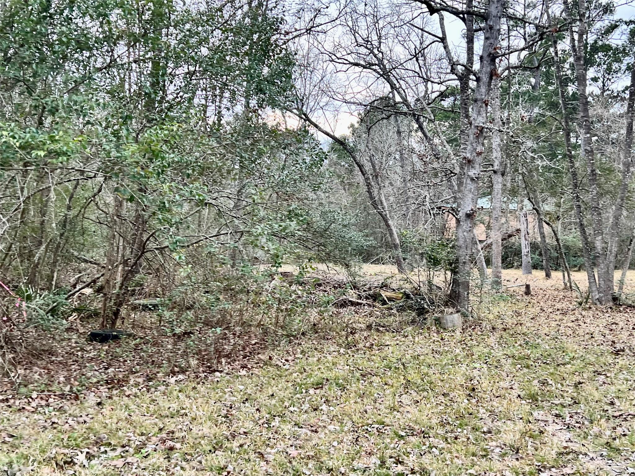 TBD lot 180b Milton Whatley Road