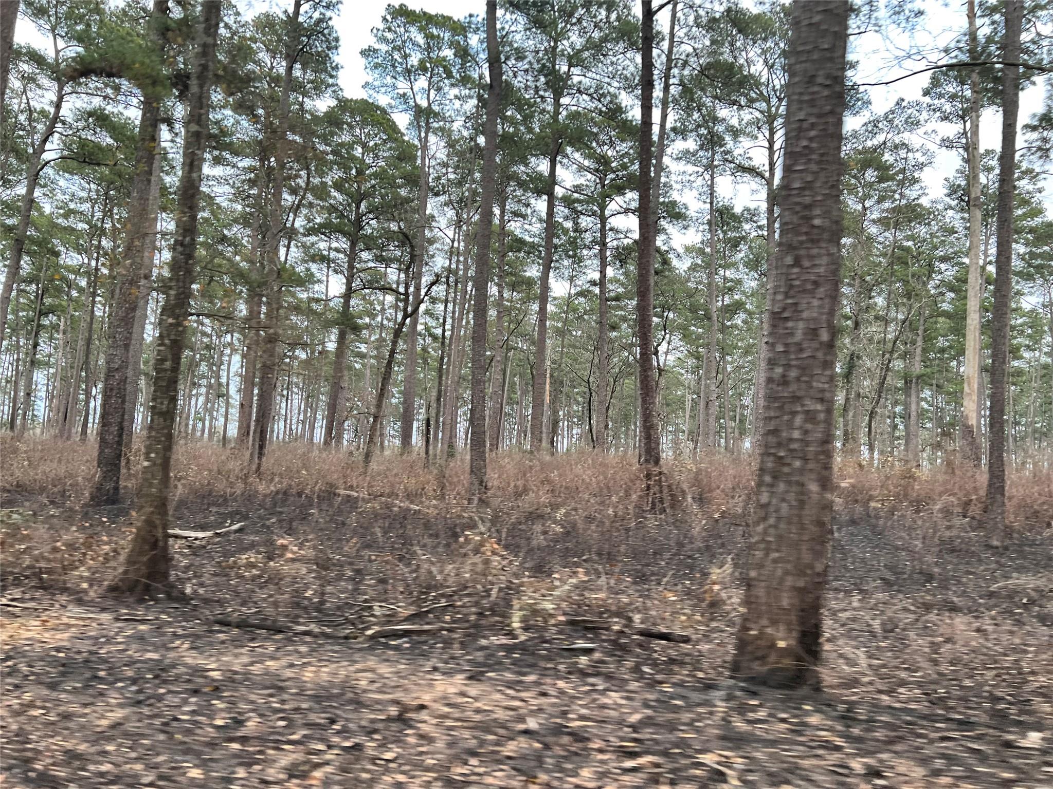 TBD lot 180b Milton Whatley Road