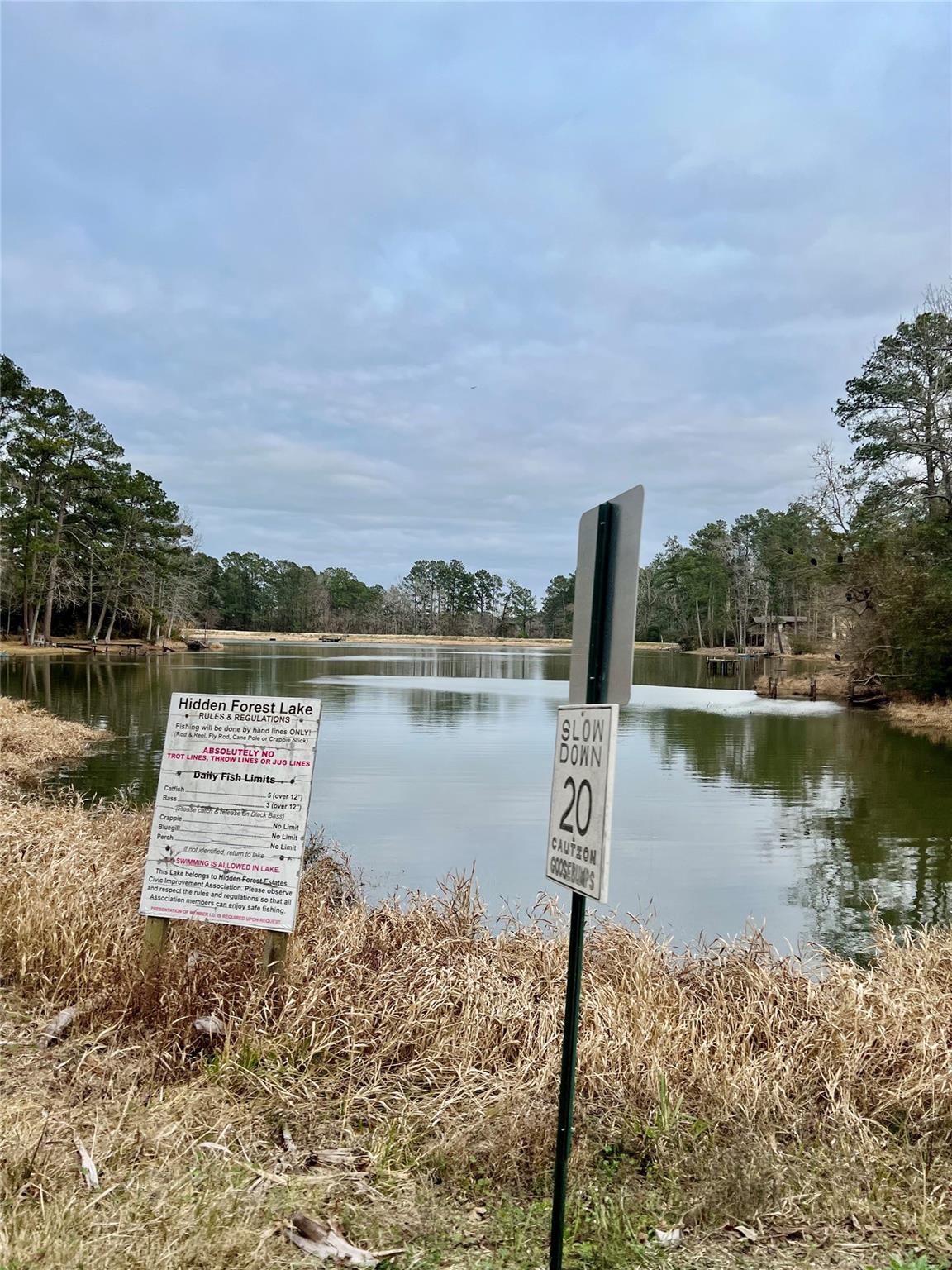 TBD lot 180b Milton Whatley Road