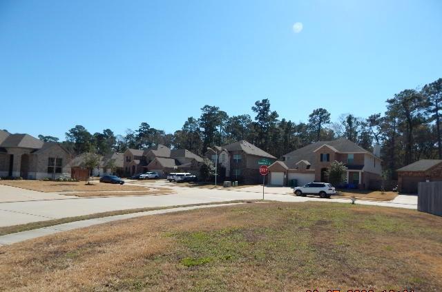 14209 Castolon Court