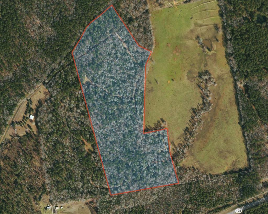 Photo 1 of 10 — AB 247-2 Cr 416, San Augustine, TX 75972