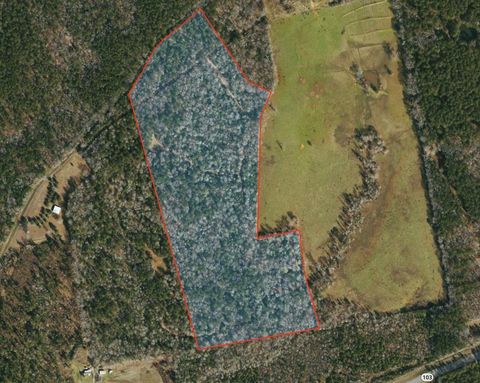 Vacant Land For Sale - AB 247-2 Cr 416<br/> San Augustine County, San Augustine, TX 75972