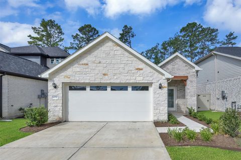 Photo of 40510 Berylline Lane, Magnolia, TX 77354 (MLS # 53108672)