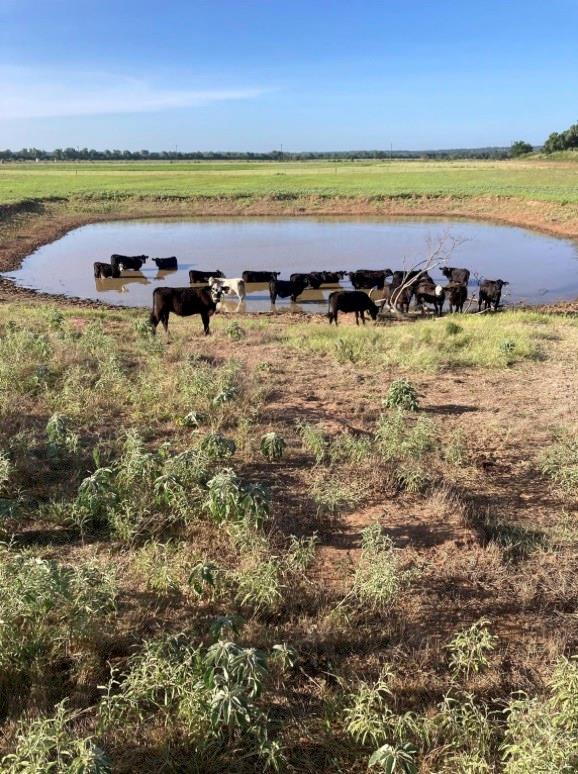 TBD Big Valley Circle