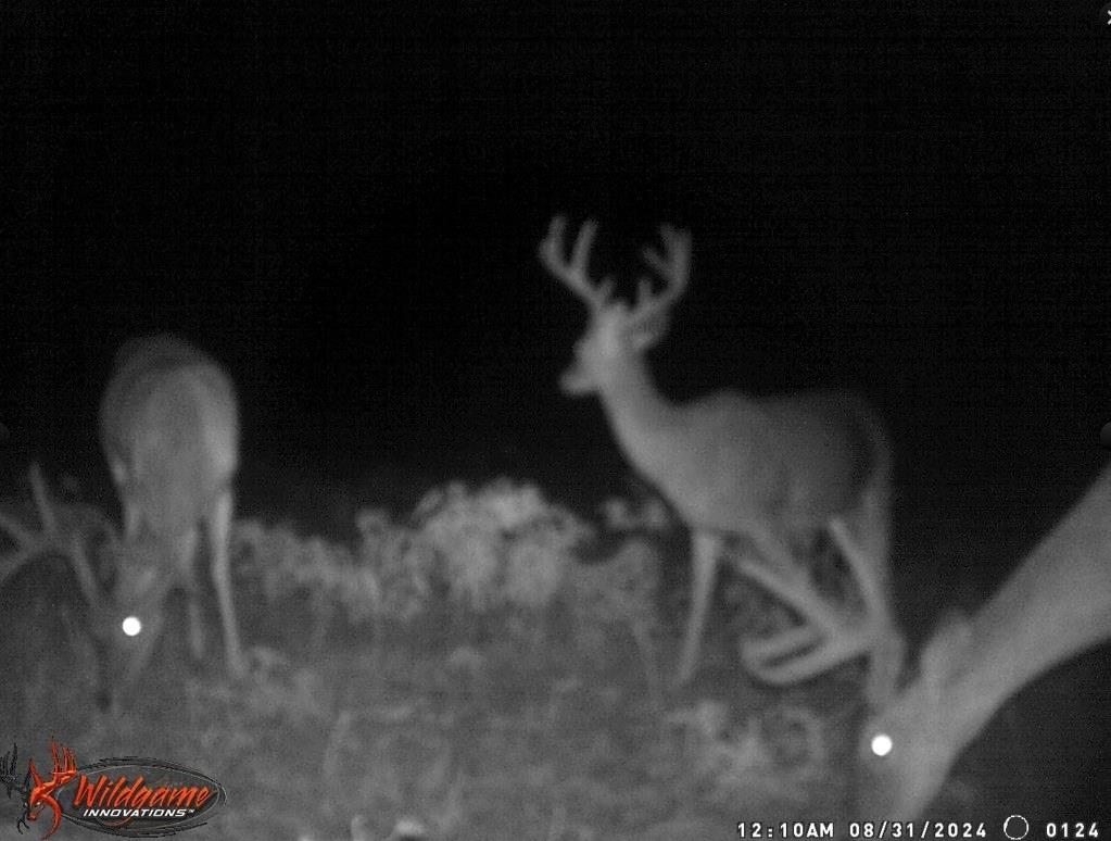 TBD Big Valley Circle