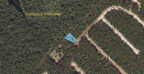 222 Rustic Ranch Drive New Waverly TX 77358