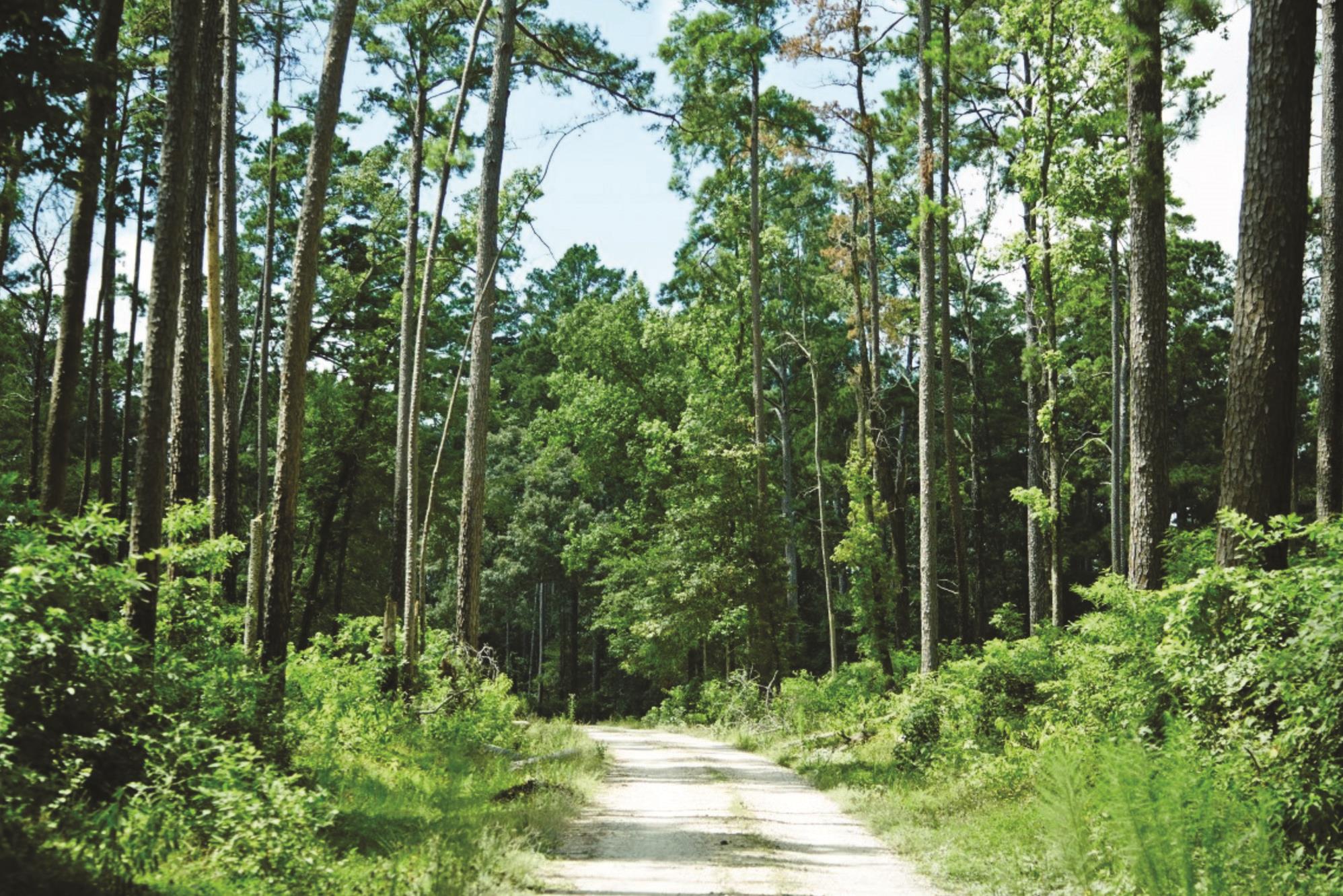 222 Rustic Ranch Drive