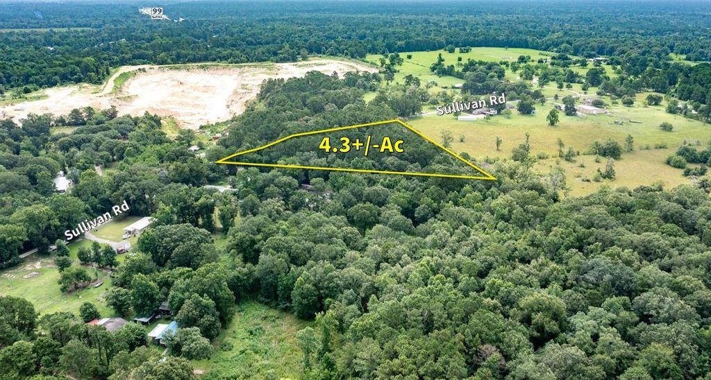 Photo of 20765 Sullivan Road, New Caney, TX 77357 (MLS # 39693825)