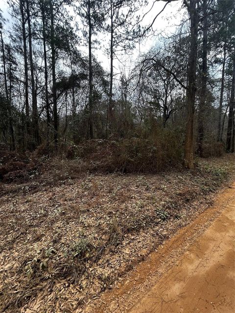 Vacant Land For Sale - County Line Road<br/> Shepherd, TX 77371