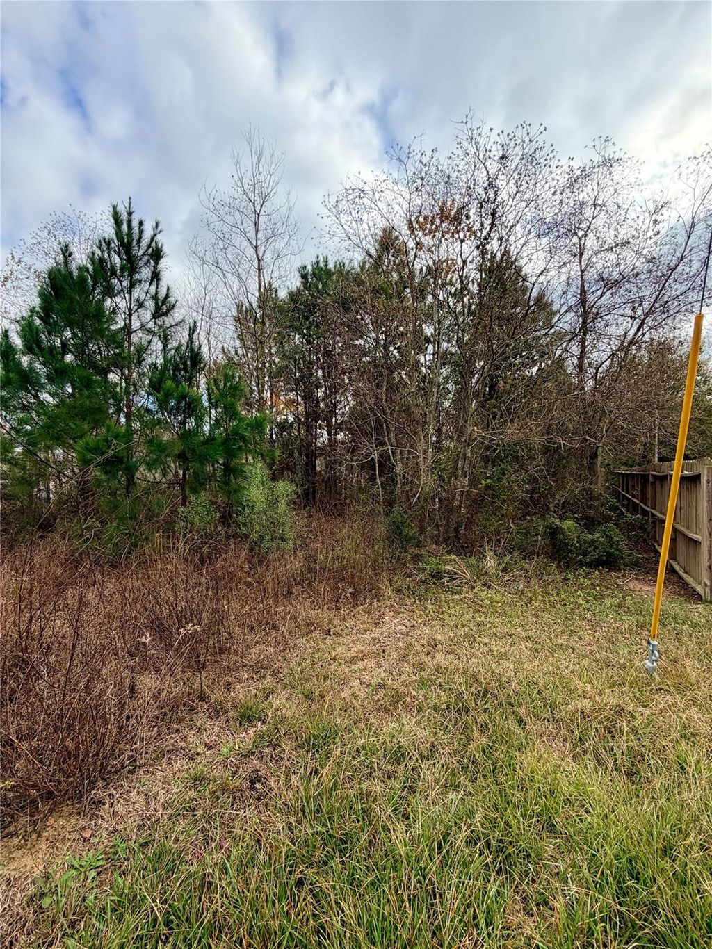 Photo of 53 Road 5116, Cleveland, TX 77327 (MLS # 73894712)