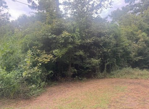 Photo of TBD Jill Lane, Livingston, TX 77351 (MLS # 71370236)