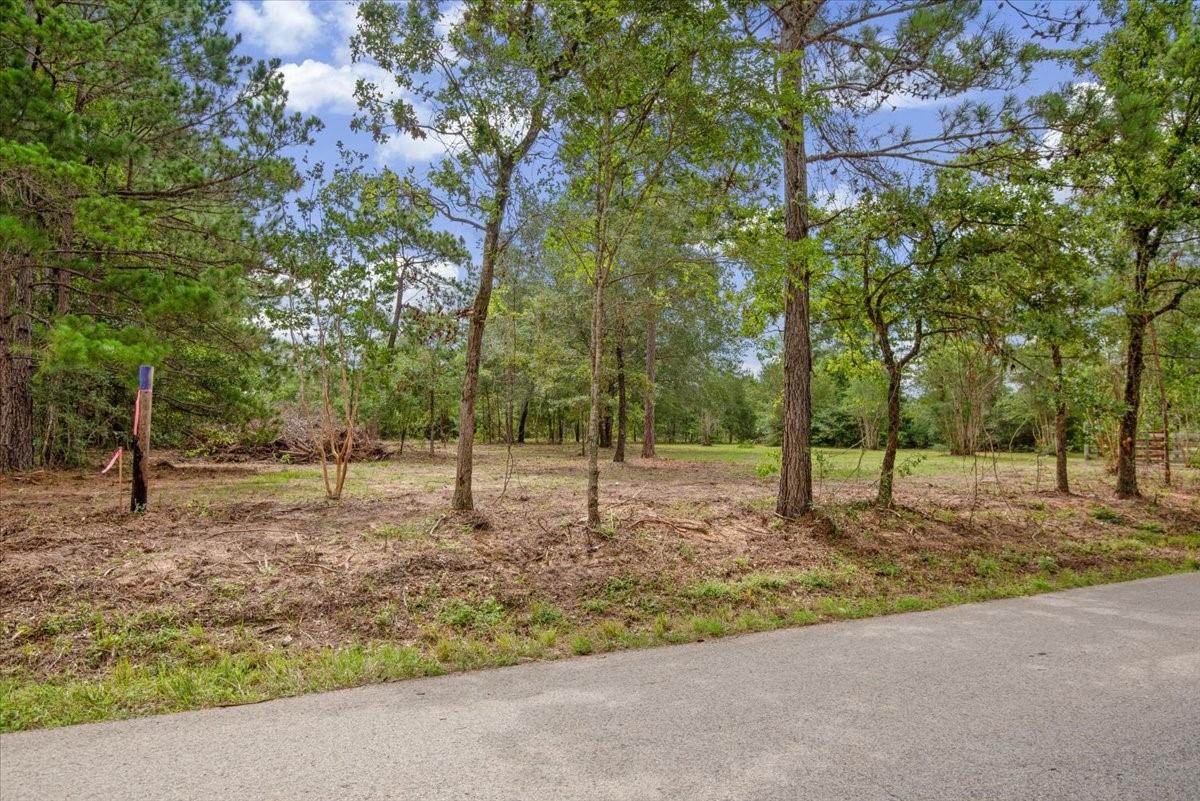 TBD Lot 3 County Road 302