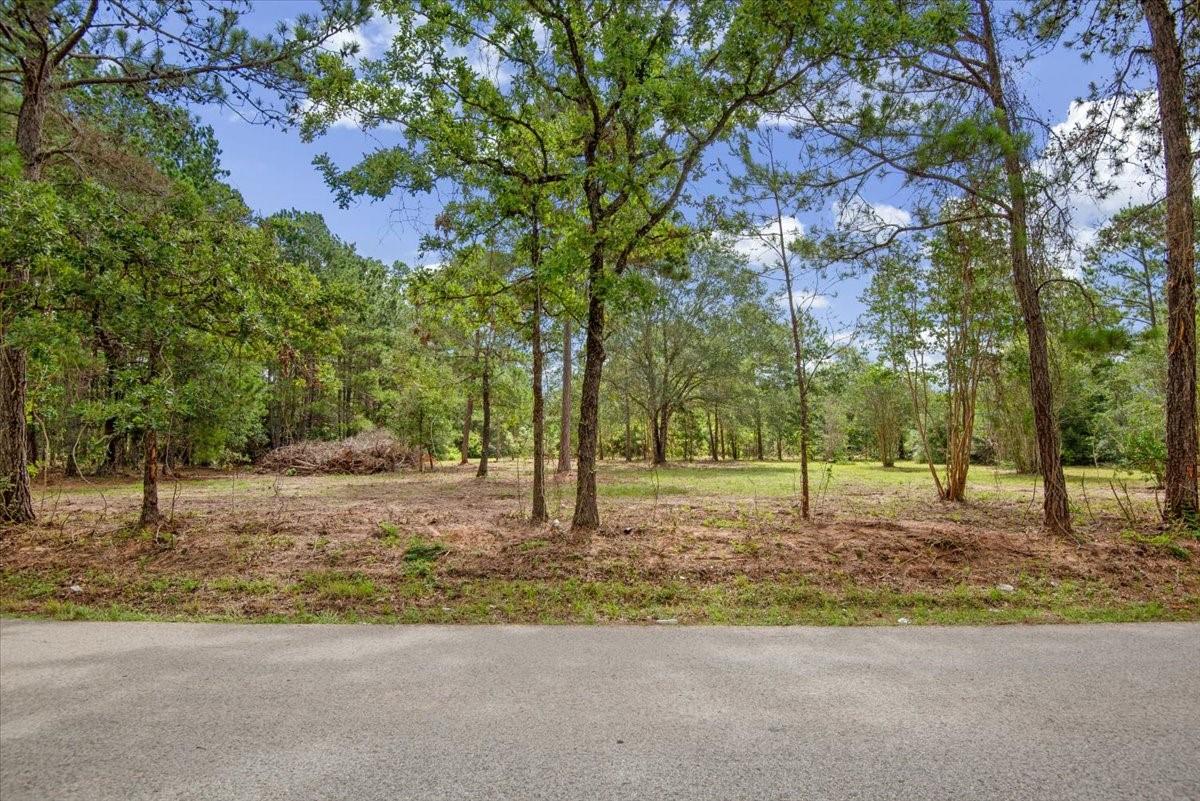 TBD Lot 3 County Road 302