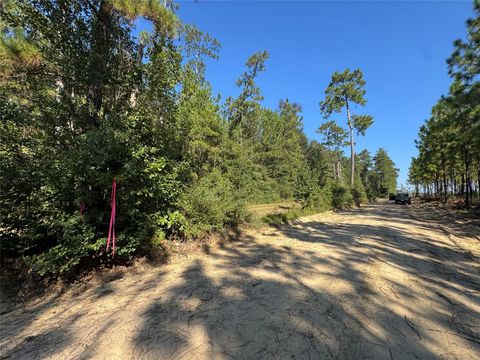 Vacant Land For Sale - 3072 & 3075 Cr<br/> Kirbyville, TX 75956