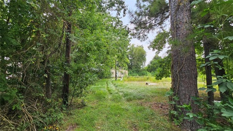 Photo of 23891 Stanart Road, Porter, TX 77365 (MLS # 73492681)