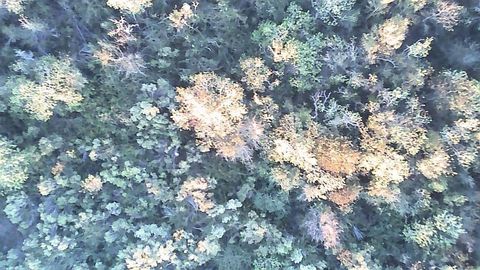 Photo of 0 Buffalo Speedway, Houston, TX 77045 (MLS # 14874889)