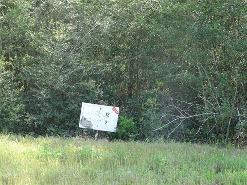 Photo of 10774 Ruger Road, Willis, TX 77378 (MLS # 65466393)