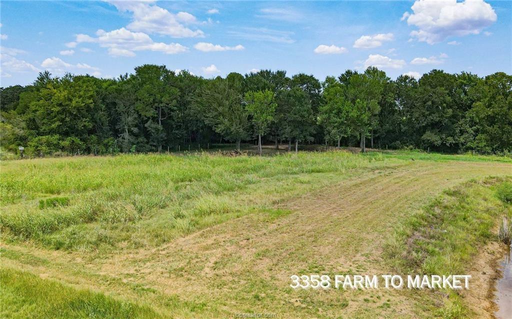TBD Fm 166 - 54 Acres