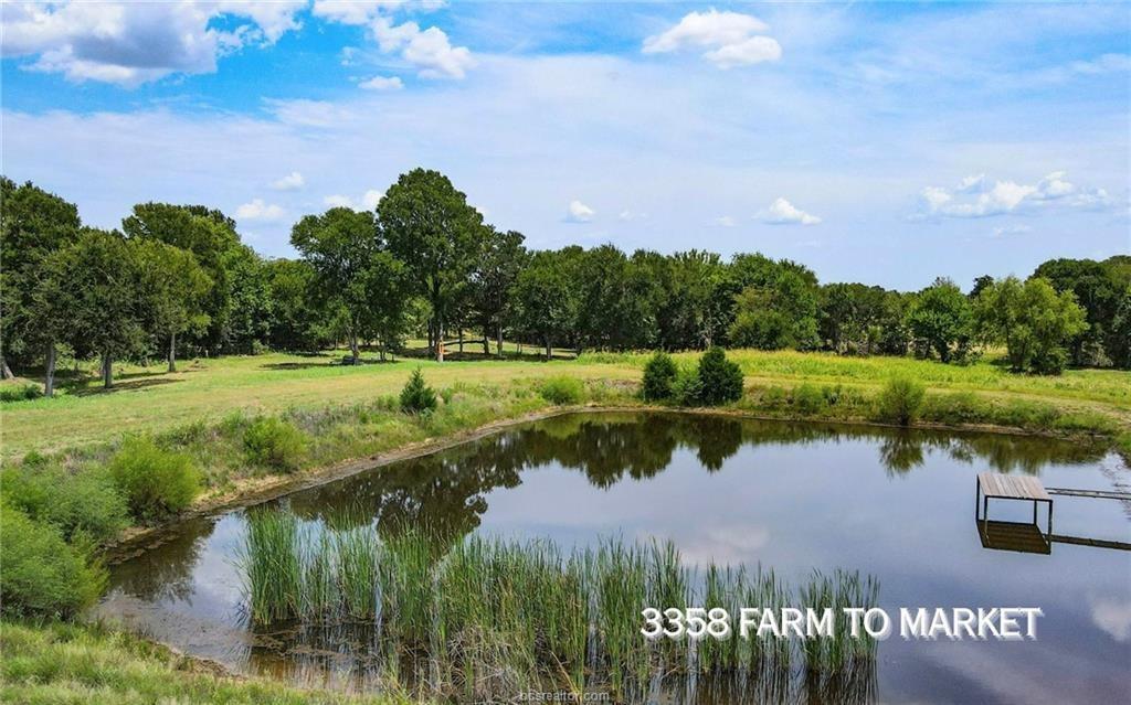 TBD Fm 166 - 54 Acres