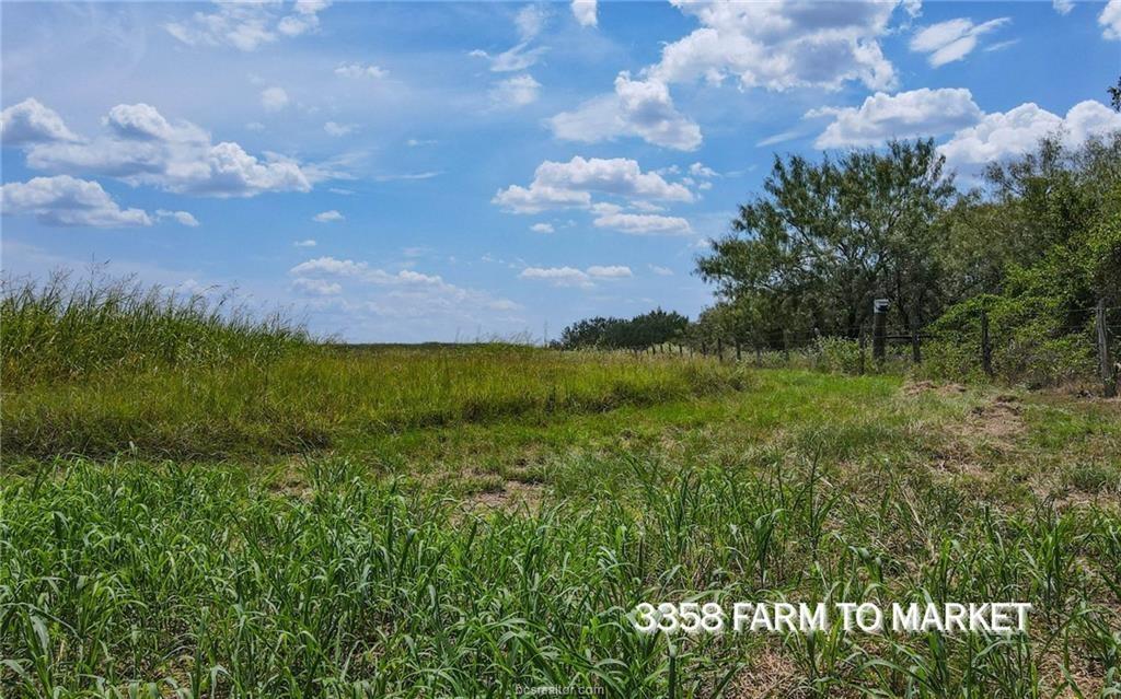 TBD Fm 166 - 54 Acres