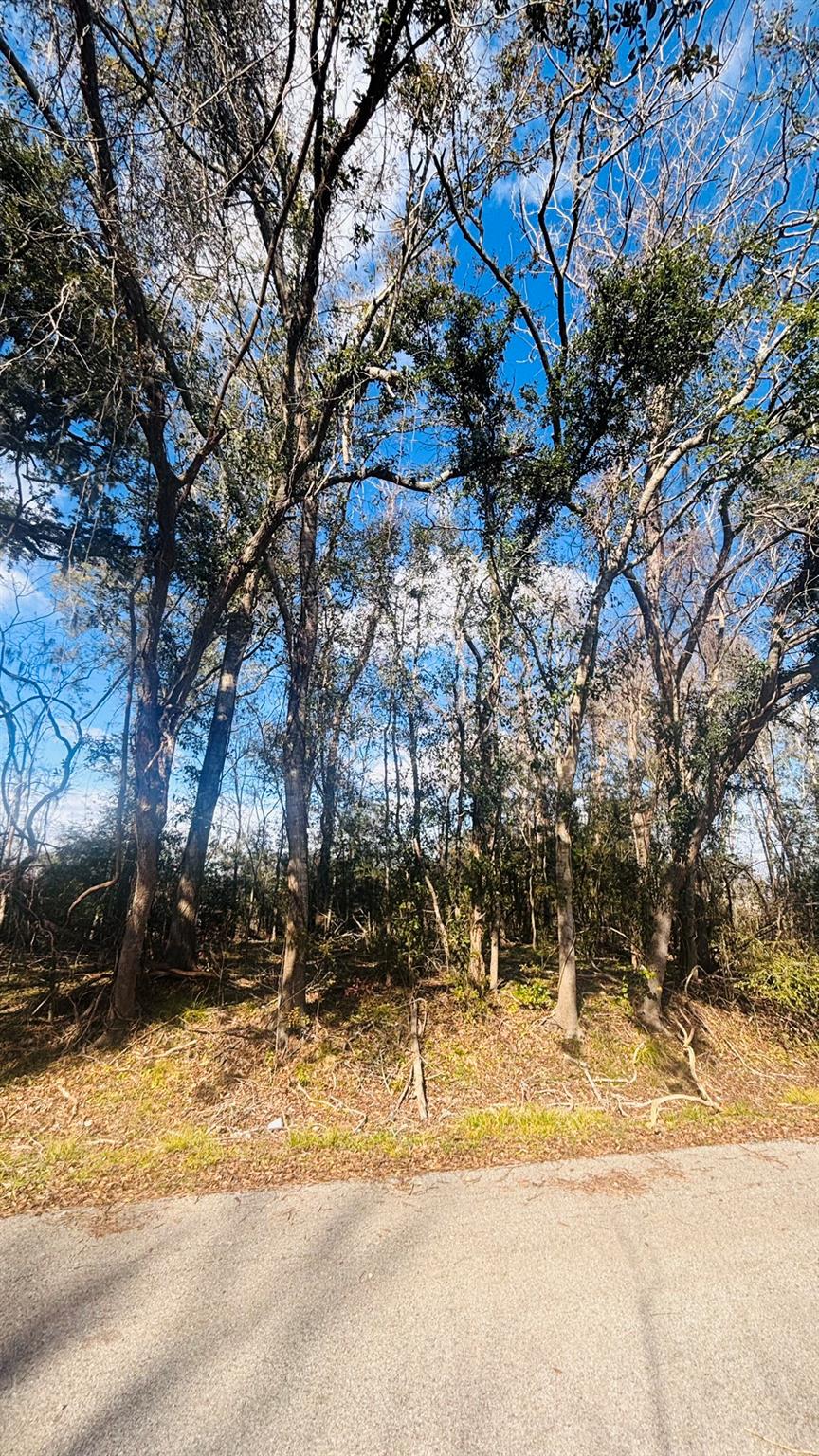 lots 641,639,637 Marshall Avenue
